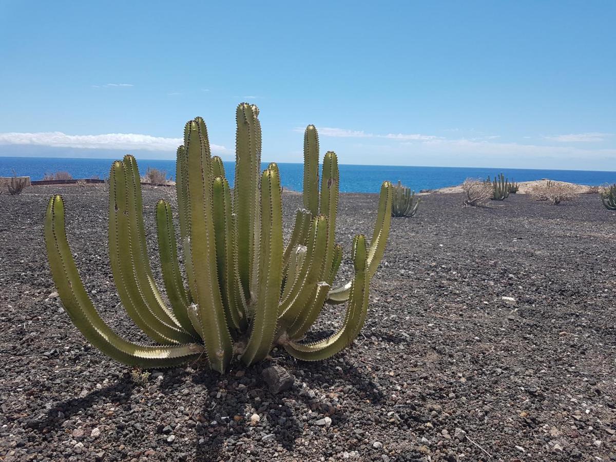 Tenerife Lizards - Duplex In The First Line Villa Callao Salvaje Kültér fotó